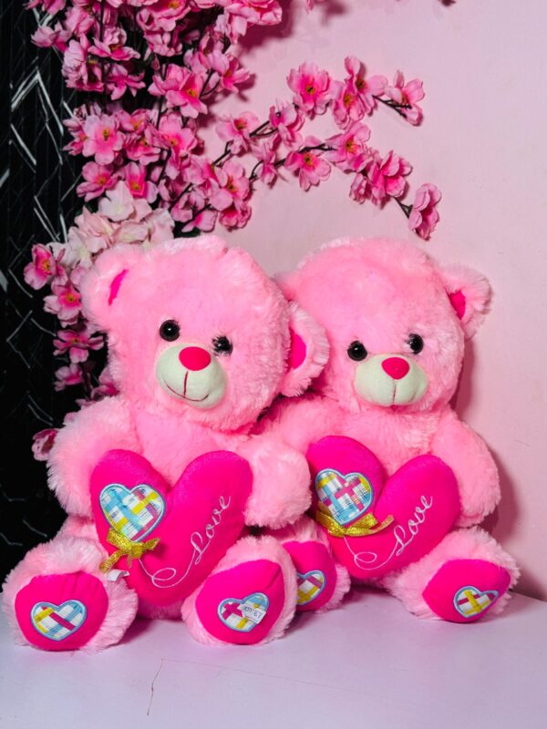 Teddy 30cm